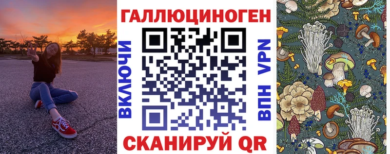 магазин    Макарьев  Псилоцибиновые грибы Psilocybine cubensis 